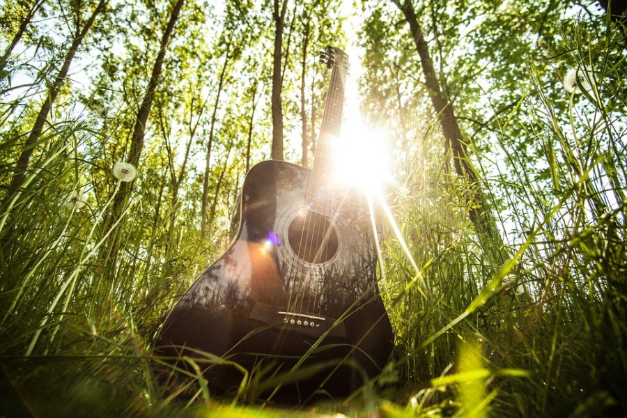 Die Sprache der Musik